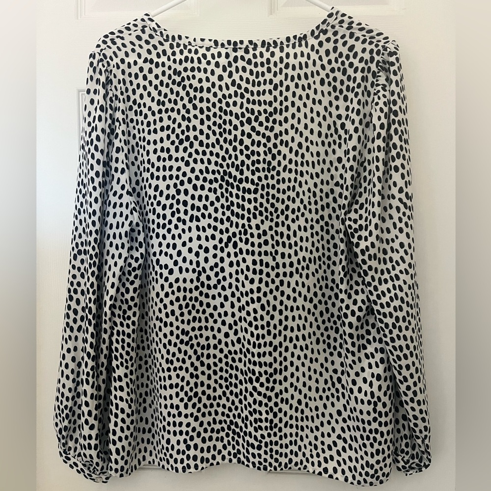 JCrew Sheer Blouse - size 14 - Picture 3 of 5